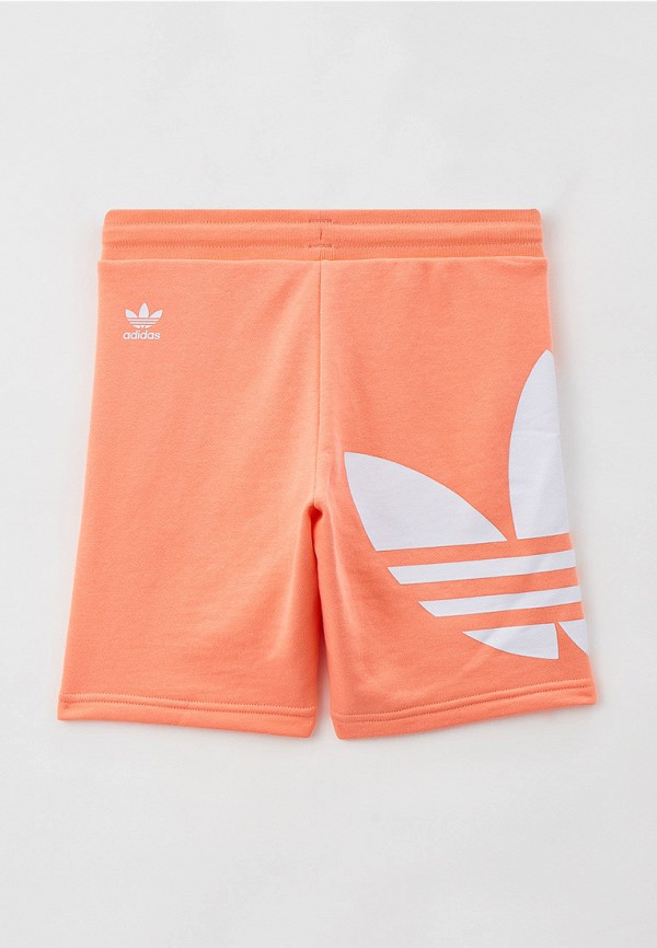 фото Шорты спортивные adidas originals
