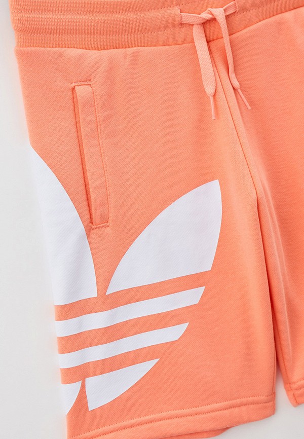 фото Шорты спортивные adidas originals