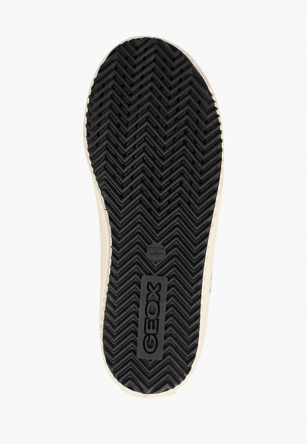 фото Кеды geox