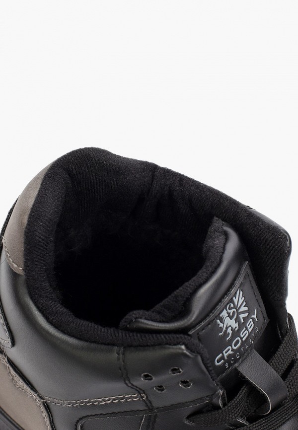 фото Кеды crosby