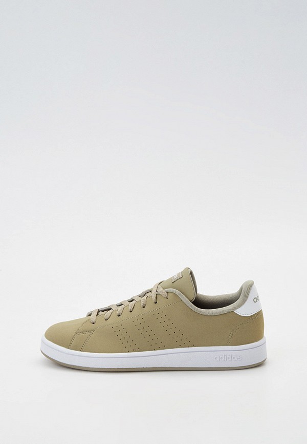 

Кеды adidas, Хаки, ADVANTAGE BASE