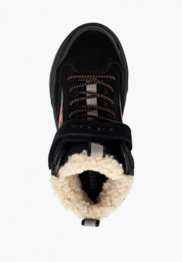 фото Кеды geox