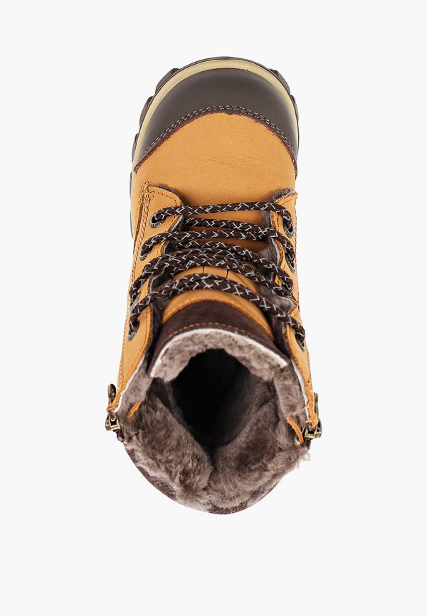 фото Ботинки котофей