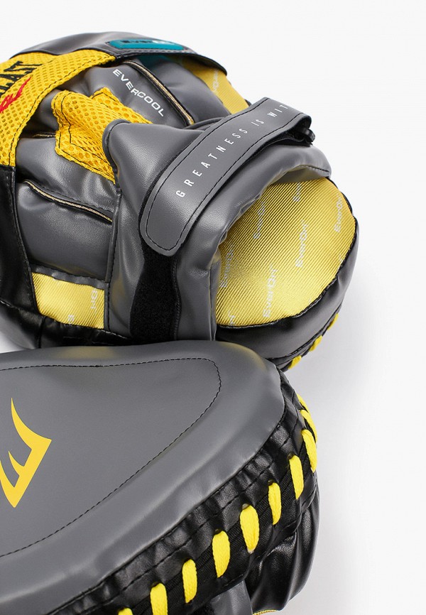 фото Лапы everlast