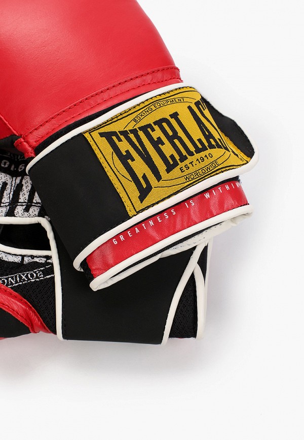 фото Перчатки боксерские everlast