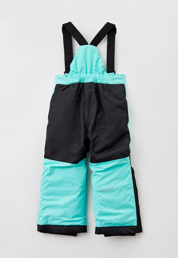 фото Брюки горнолыжные icepeak