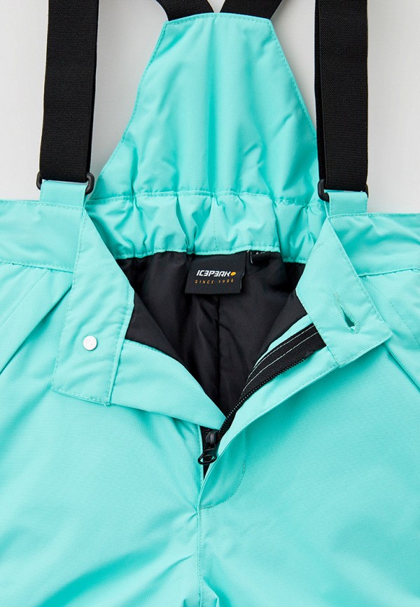 фото Брюки горнолыжные icepeak