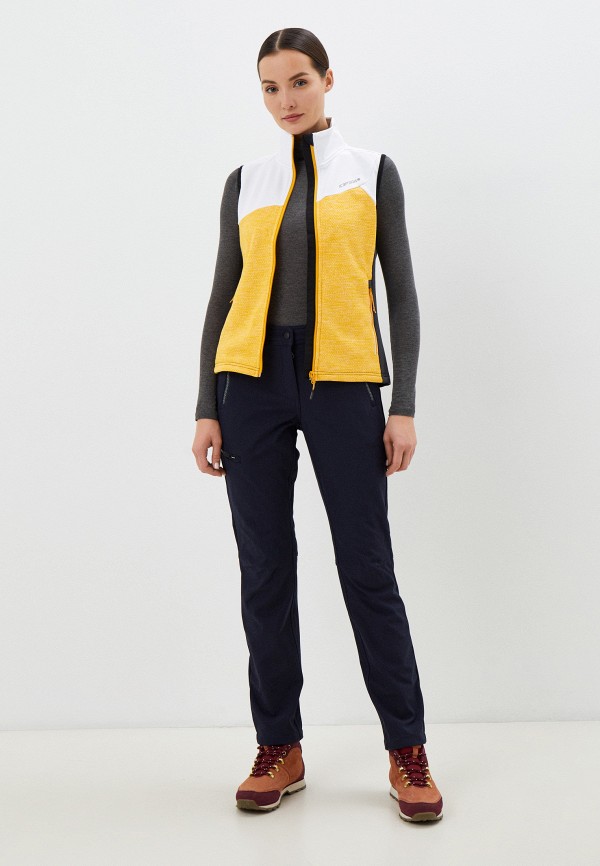 фото Брюки утепленные icepeak