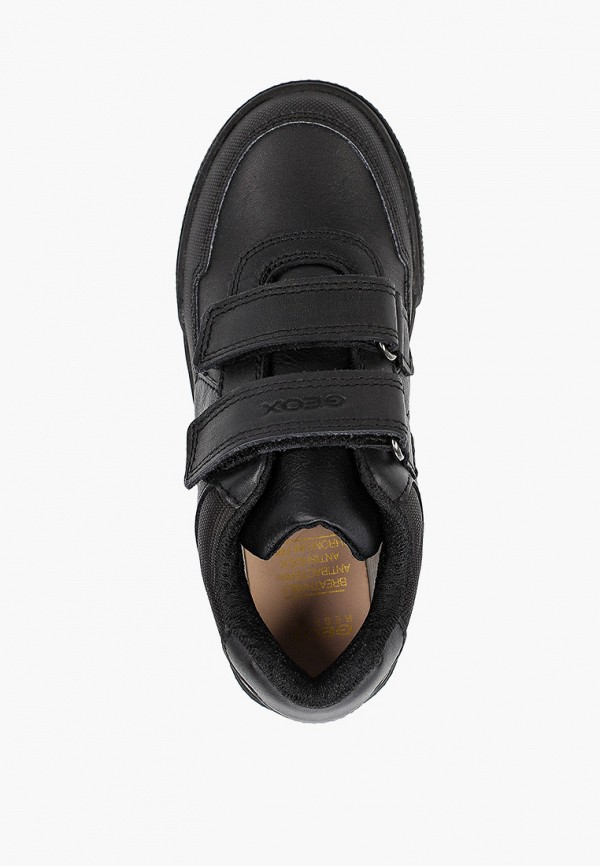 фото Кеды geox