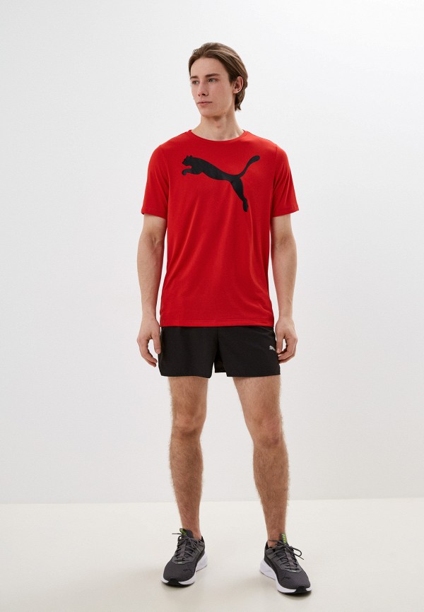 фото Шорты спортивные puma