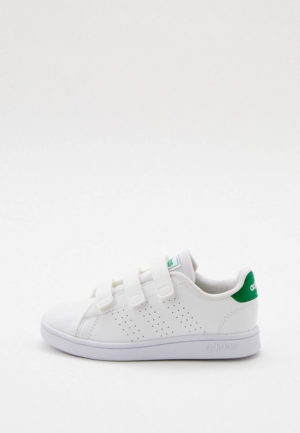

Кеды adidas, Белый, ADVANTAGE C