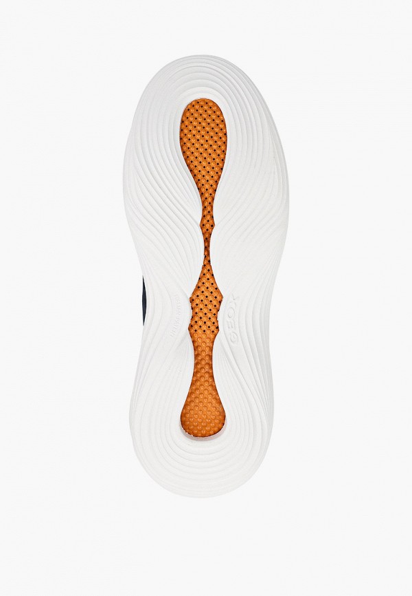 фото Кроссовки geox