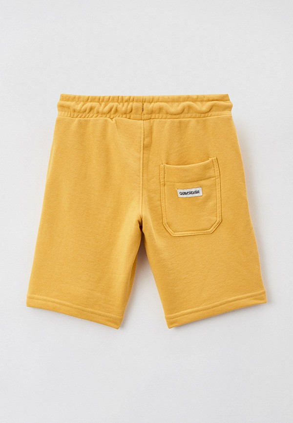 фото Шорты спортивные quiksilver