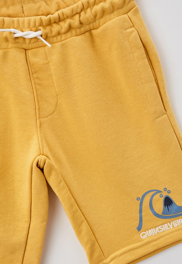 фото Шорты спортивные quiksilver