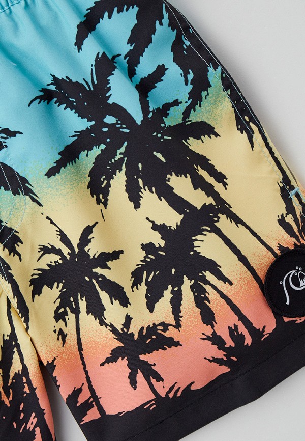 фото Шорты для плавания quiksilver
