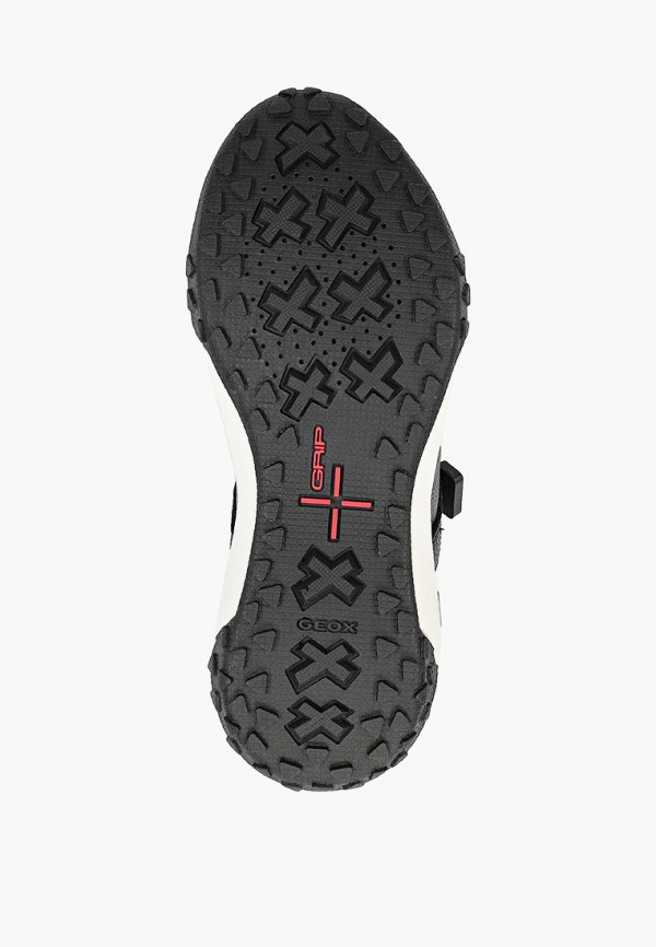 фото Сандалии geox