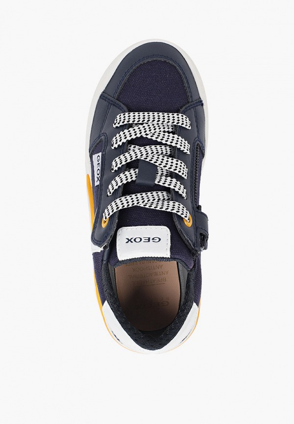 фото Кеды geox