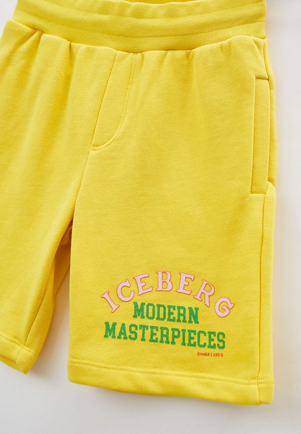 фото Шорты спортивные iceberg