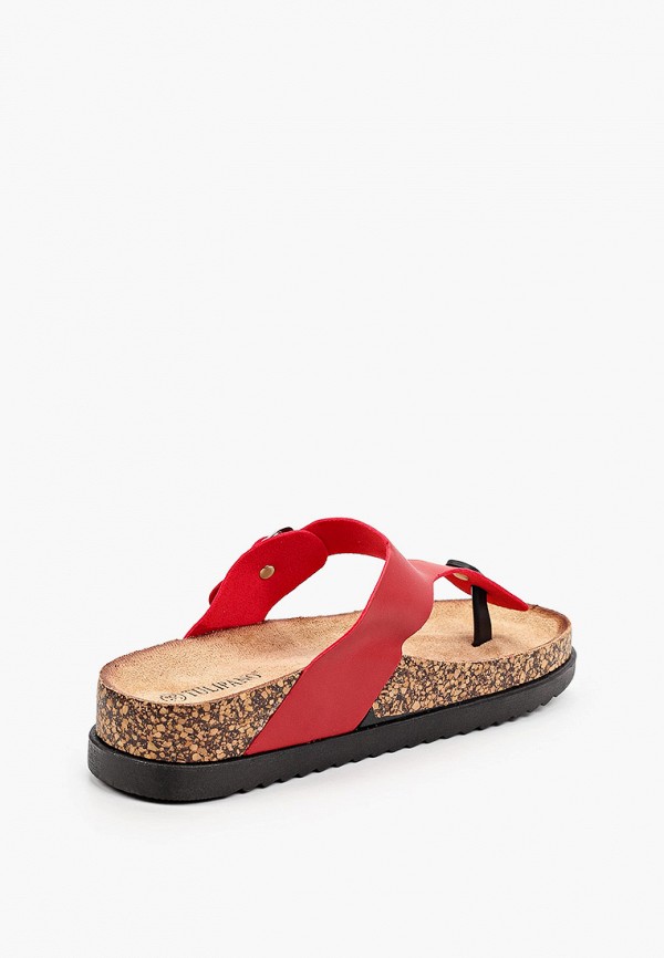 фото Сабо tulipano