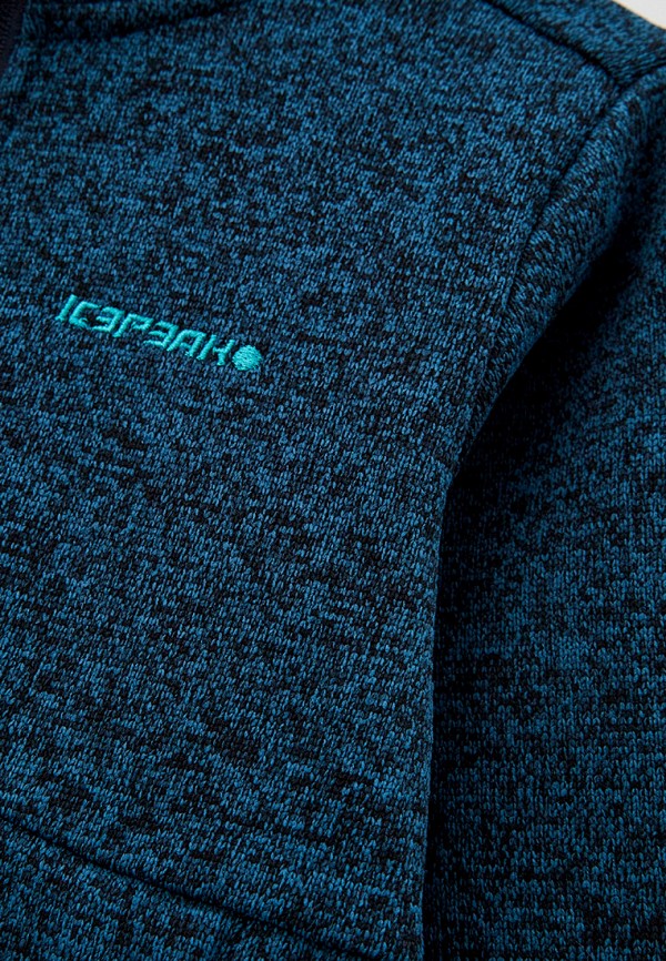 Олимпийка  Icepeak фото