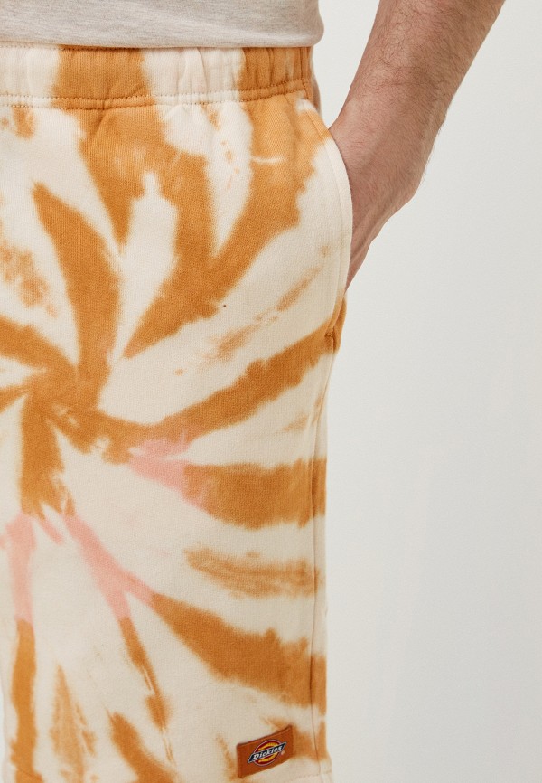 фото Шорты спортивные dickies