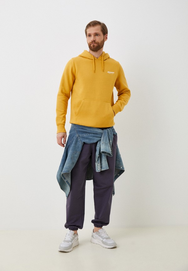 Худи  Dickies фото