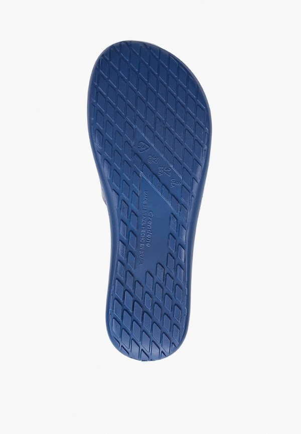 фото Сланцы rider