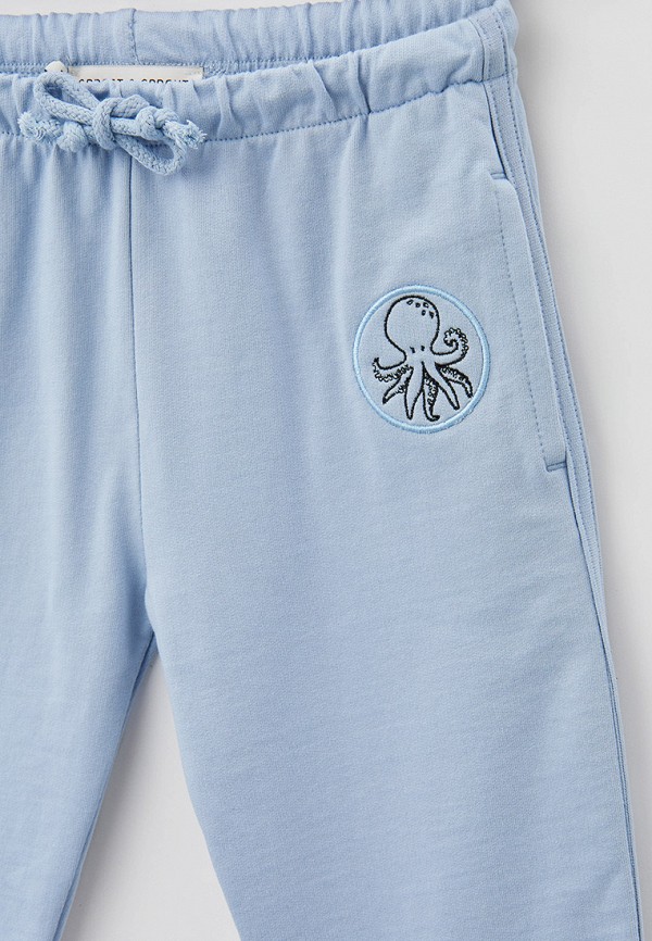 фото Брюки спортивные sproet & sprout