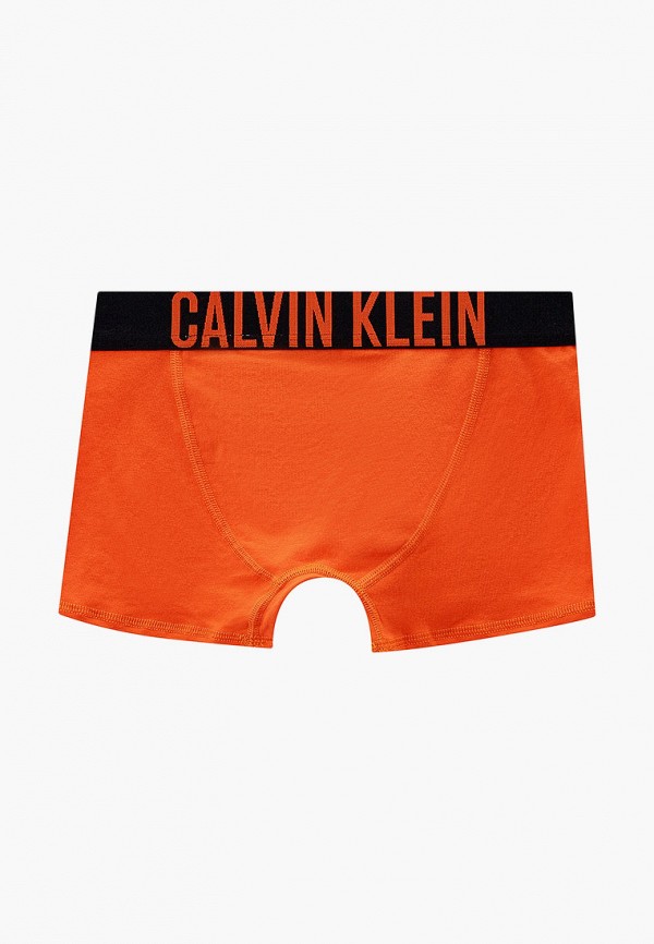 Трусы 2 шт.  Calvin Klein фото