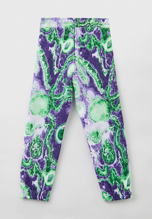 фото Брюки спортивные reporter young