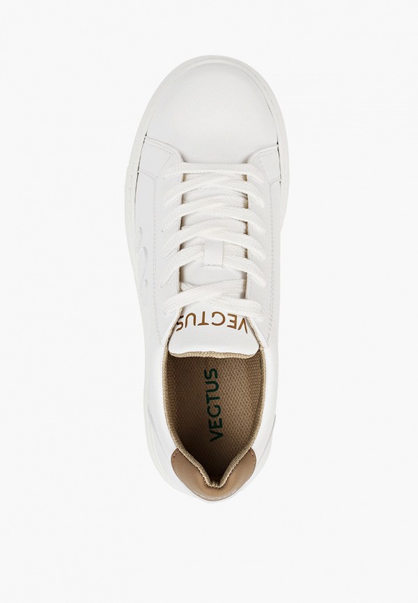 фото Кеды vegtus