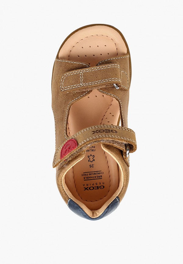 фото Сандалии geox