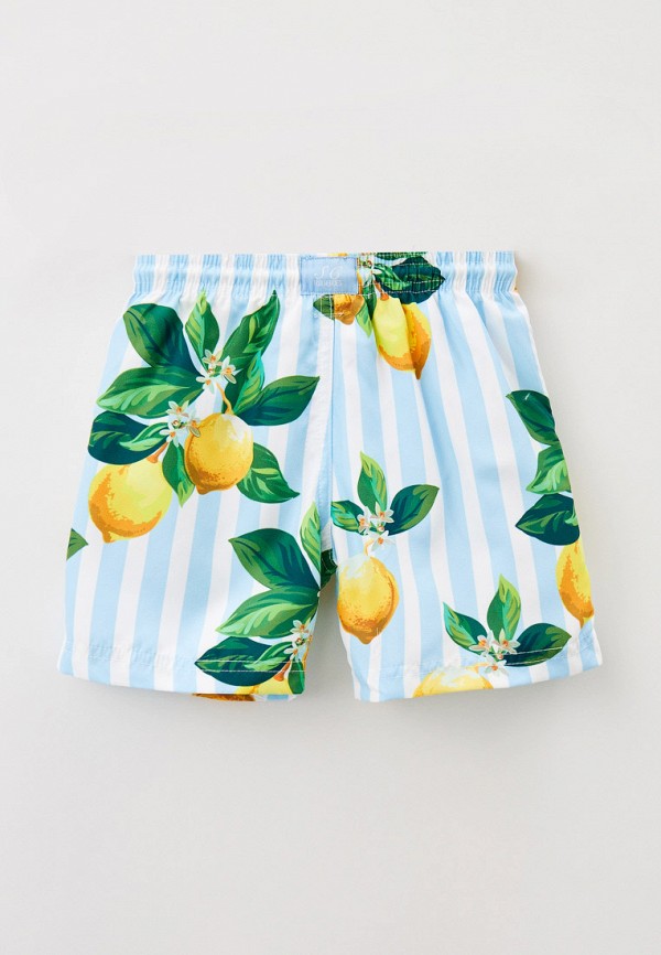 фото Шорты для плавания stella cove