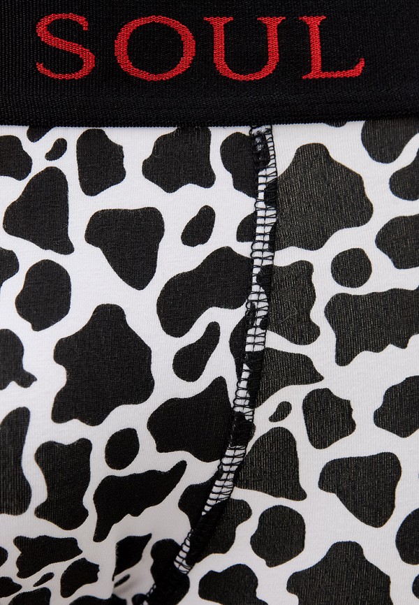 фото Трусы 2 шт. brave soul