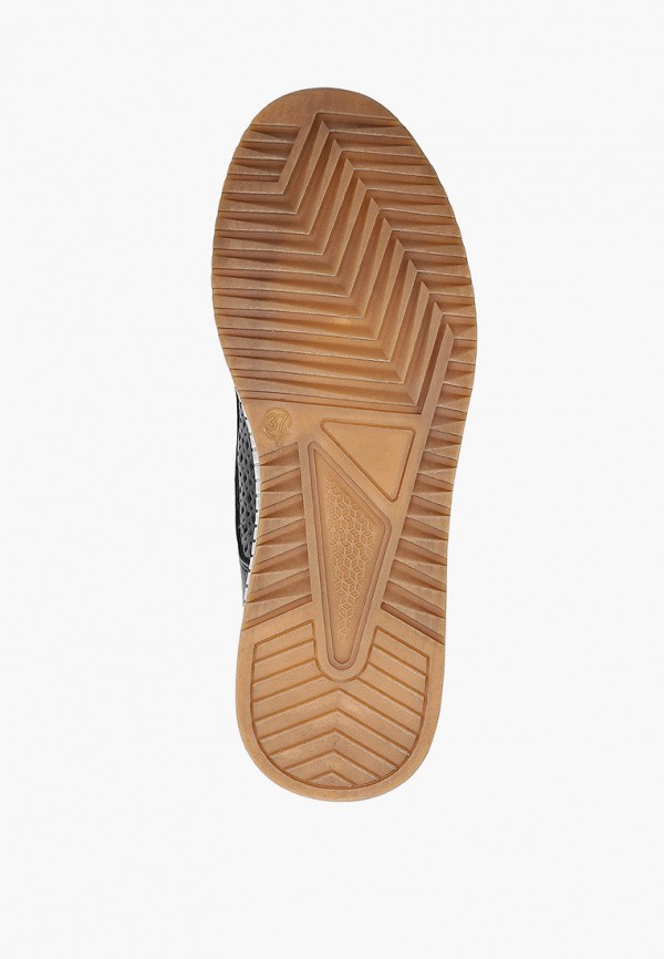 фото Кеды zebra