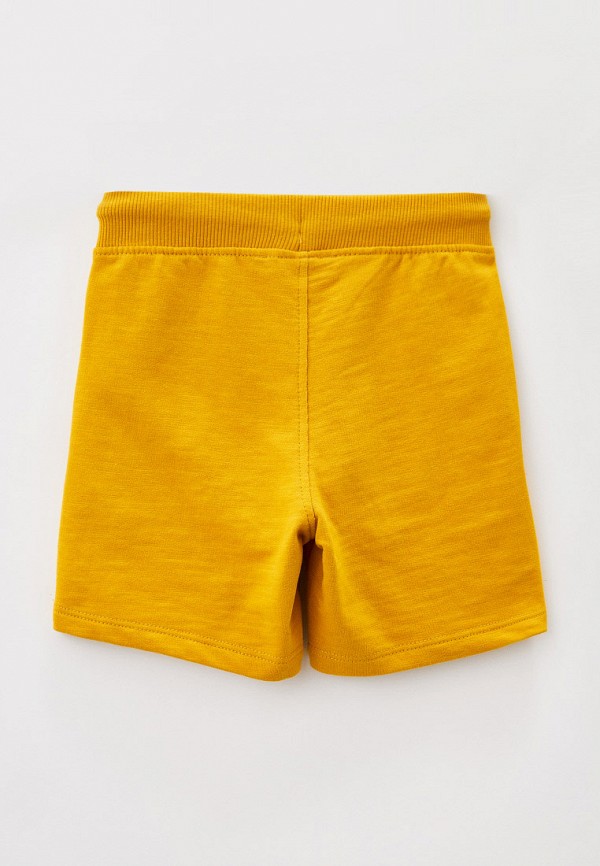 фото Шорты спортивные dpam