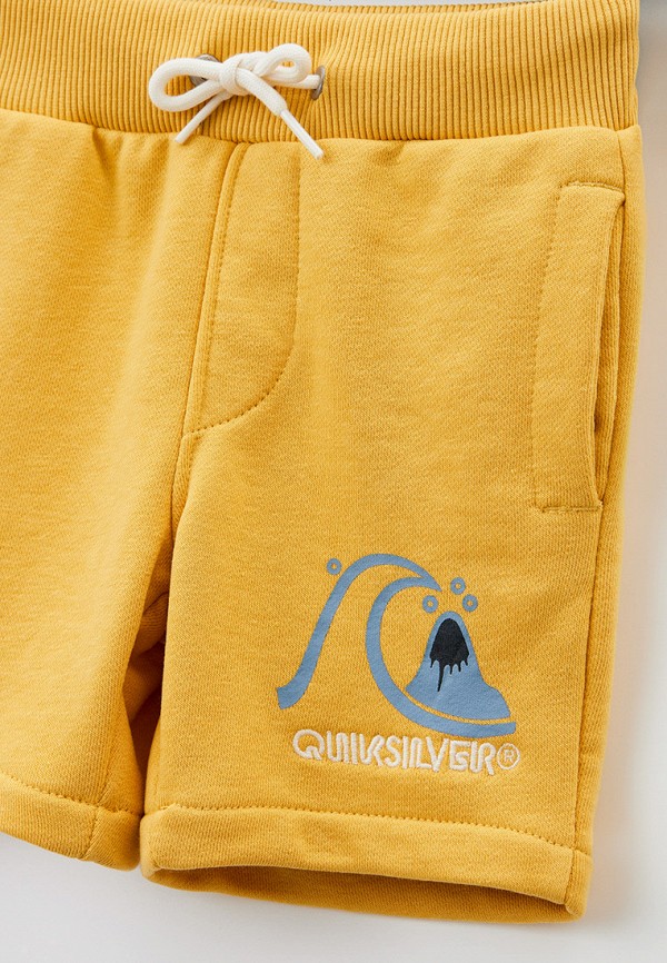 фото Шорты спортивные quiksilver