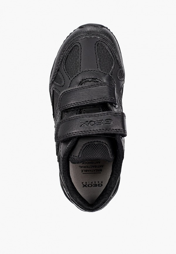 фото Кеды geox