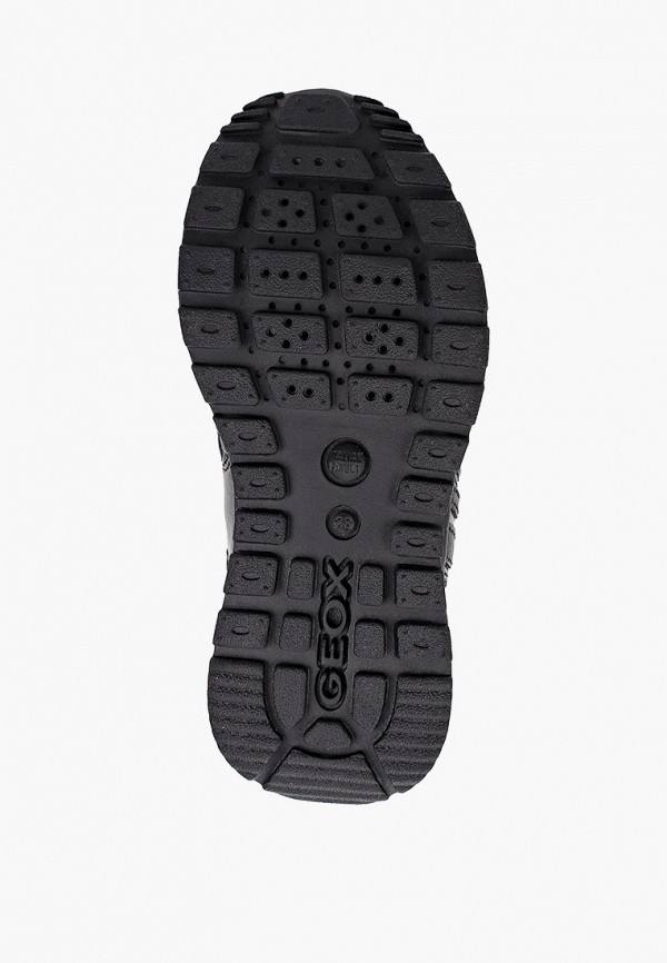 фото Кеды geox