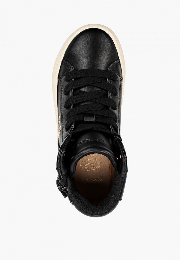 фото Кеды geox