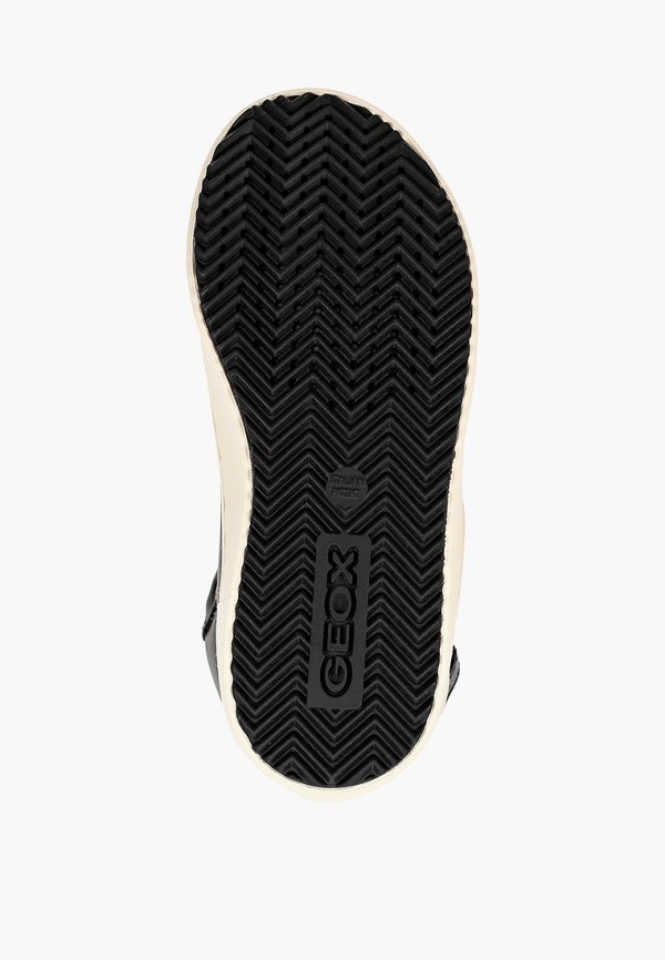 фото Кеды geox