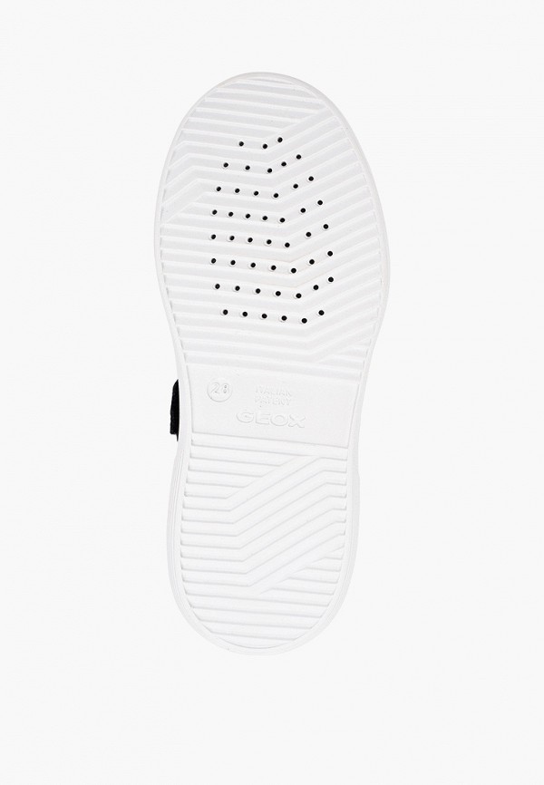 фото Кеды geox