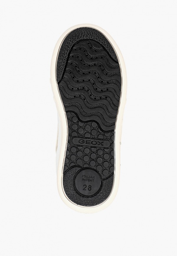 фото Кеды geox