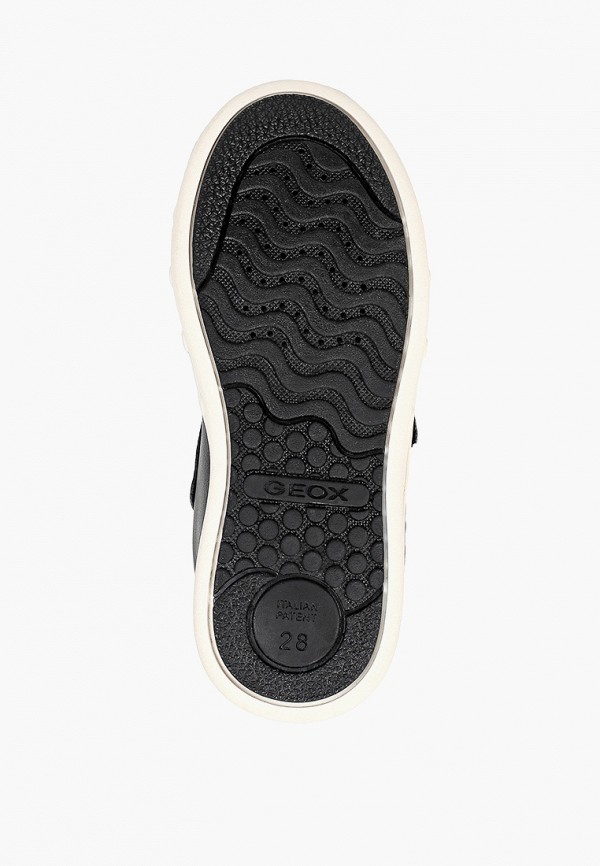 фото Кеды geox