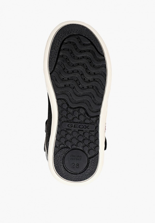 фото Кеды geox