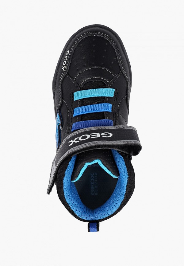 фото Кеды geox