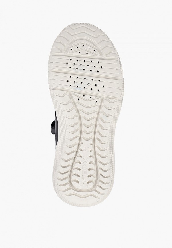 фото Кеды geox