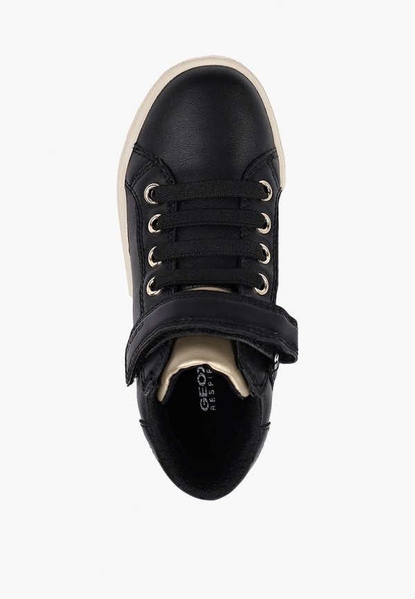 фото Кеды geox