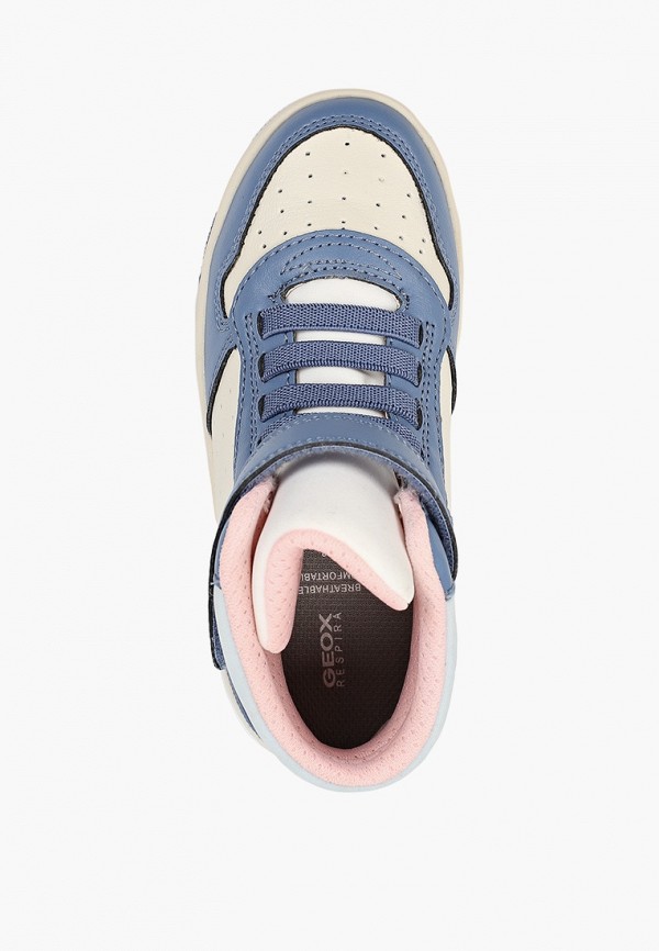 фото Кеды geox