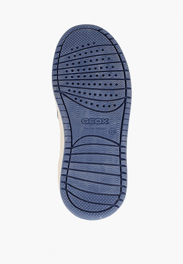 фото Кеды geox